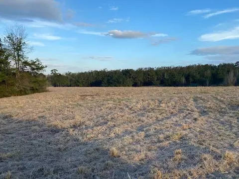 000 Harveytown Rd, Tylertown, MS 39667