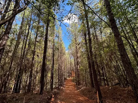 3 Highway 43, MS