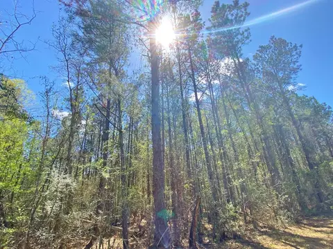 0 Enterprise Rd, Summit, MS 39666 photo 6
