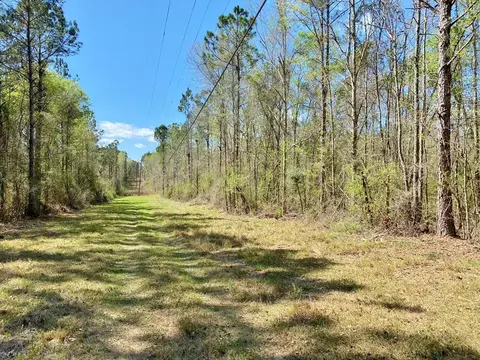0 Enterprise Rd, Summit, MS 39666 photo 9