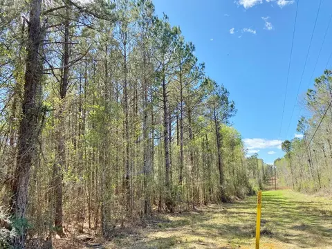 0 Enterprise Rd, Summit, MS 39666 photo 8