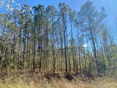 0 Enterprise Rd, Summit, MS 39666 photo 32