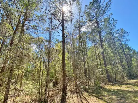 0 Enterprise Rd, Summit, MS 39666 photo 5