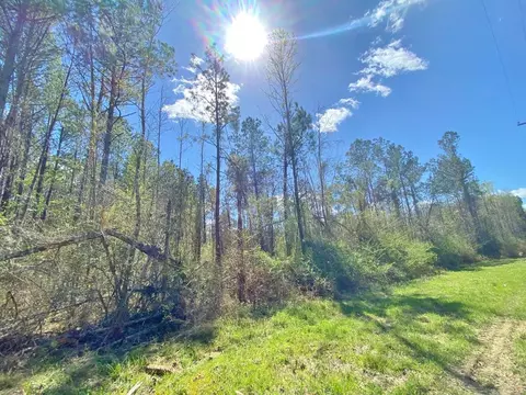 0 Enterprise Rd, Summit, MS 39666 photo 13