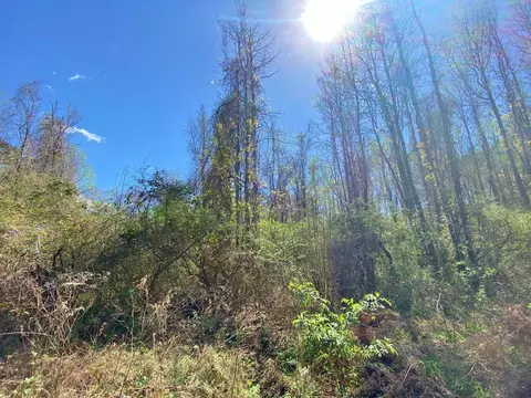 0 Enterprise Rd, Summit, MS 39666 photo 20
