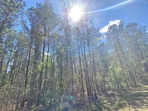 0 Enterprise Rd, Summit, MS 39666 photo 4