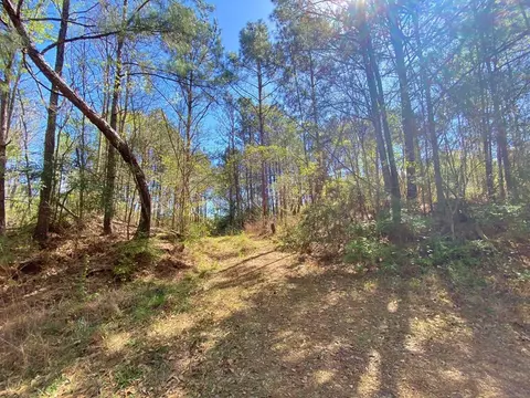 0 Enterprise Rd, Summit, MS 39666 photo 28