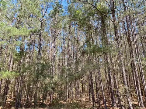 0 Enterprise Rd, Summit, MS 39666 photo 35