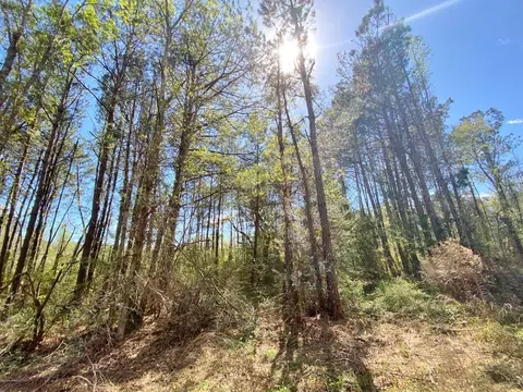 0 Enterprise Rd, Summit, MS 39666 photo 23