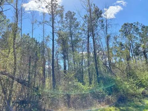 0 Enterprise Rd, Summit, MS 39666 photo 12