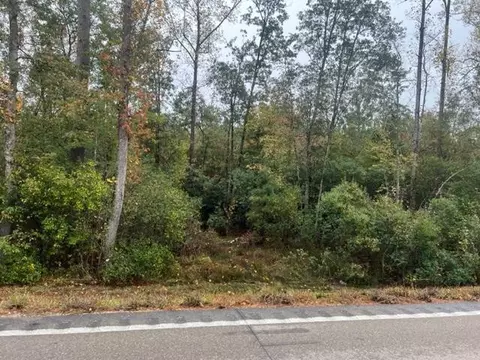 tbd Piatonia Rd, Lumberton, MS 39455