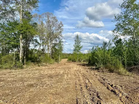 3163 Bahalia Rd NE, Wesson, MS 39191 photo 8