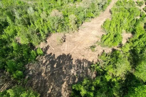 3163 Bahalia Rd NE, Wesson, MS 39191 photo 6