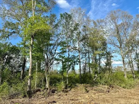 3163 Bahalia Rd NE, Wesson, MS 39191 photo 9