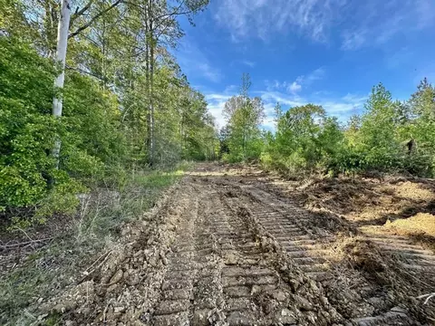 3163 Bahalia Rd NE, Wesson, MS 39191 photo 10