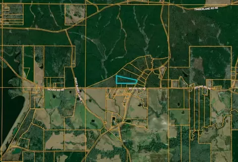 3163 Bahalia Rd NE, Wesson, MS 39191 photo 13