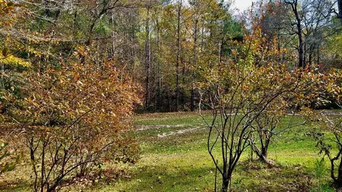 186 Quail, Crosby, MS 39633 photo 19