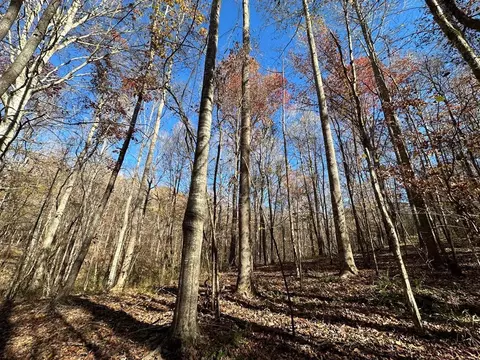 2 Wesley Ln, Union Church, MS 39668
