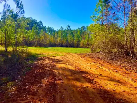 64 Stoneybrook Trl, Bogue Chitto, MS 39629
