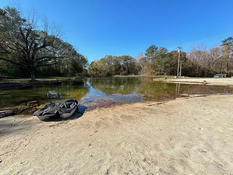 1021 Firefly Ln, Summit, MS 39666 photo 3
