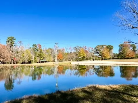1021 Firefly Ln, Summit, MS 39666 photo 42