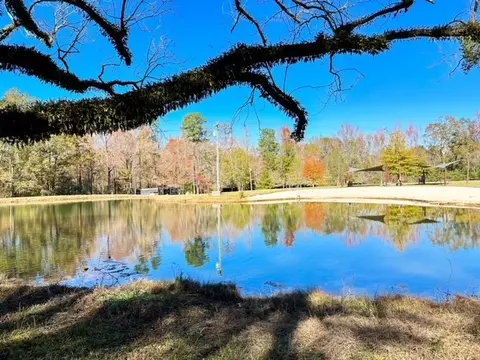 1021 Firefly Ln, Summit, MS 39666 photo 40