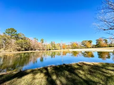 1021 Firefly Ln, Summit, MS 39666 photo 41