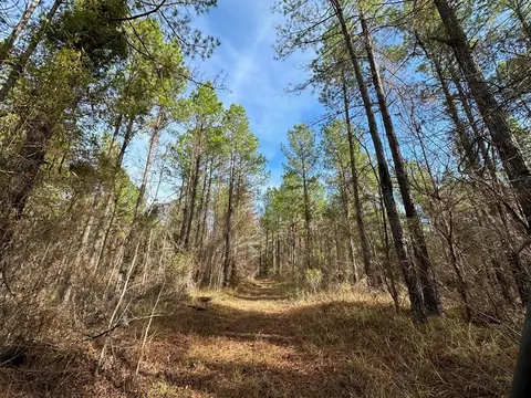 4 Dry Grove Rd, Terry, MS 39170 photo 10