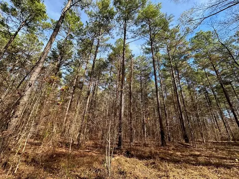 4 Dry Grove Rd, Terry, MS 39170 photo 9