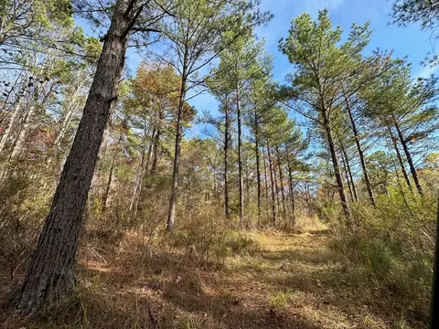 4 Dry Grove Rd, Terry, MS 39170 photo 11