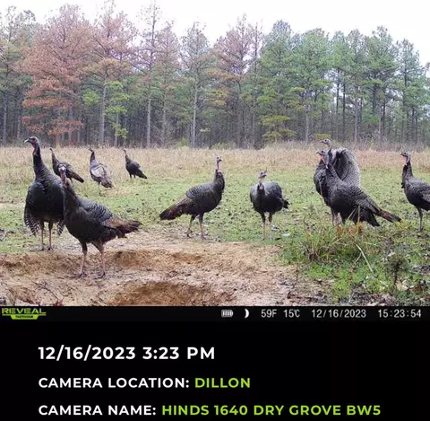 4 Dry Grove Rd, Terry, MS 39170 photo 13