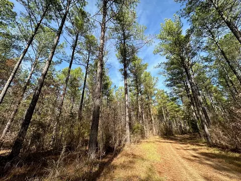 4 Dry Grove Rd, Terry, MS 39170 photo 5