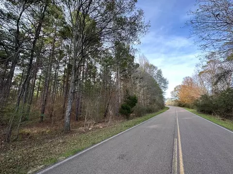 4 Dry Grove Rd, Terry, MS 39170 photo 1