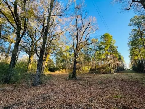 tbd Dinan Salem Rd, Tylertown, MS 39667