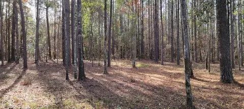 3994 E Lincoln Rd, Brookhaven, MS 39601 photo 3