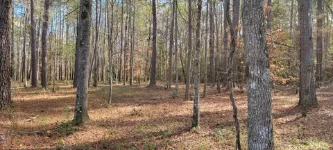 3994 E Lincoln Rd, Brookhaven, MS 39601 photo 4