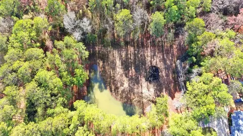 1008 Smith Ln, Mccomb, MS 39648 photo 5