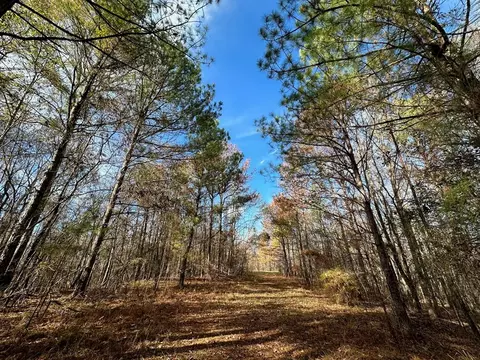2 Norman Rd, Hazlehurst, MS 39083 photo 6