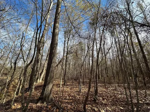 2 Norman Rd, Hazlehurst, MS 39083 photo 9