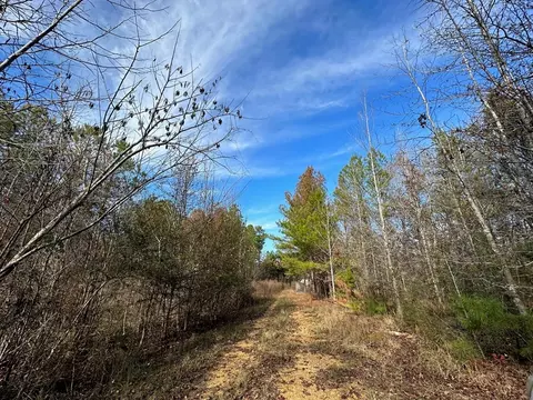 2 Norman Rd, Hazlehurst, MS 39083 photo 3