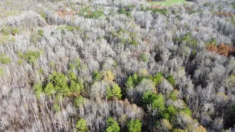 2 Norman Rd, Hazlehurst, MS 39083 photo 19