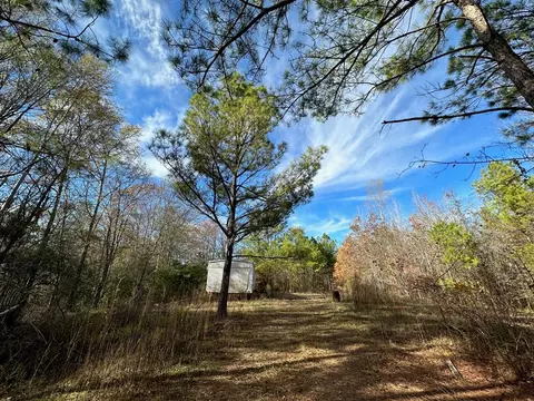 2 Norman Rd, Hazlehurst, MS 39083 photo 4