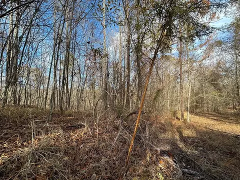 2 Norman Rd, Hazlehurst, MS 39083 photo 8