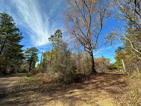 2 Norman Rd, Hazlehurst, MS 39083 photo 2
