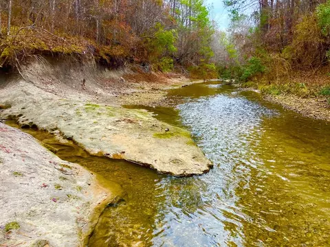 11 Dummy Line Rd, Brookhaven, MS 39601 photo 2