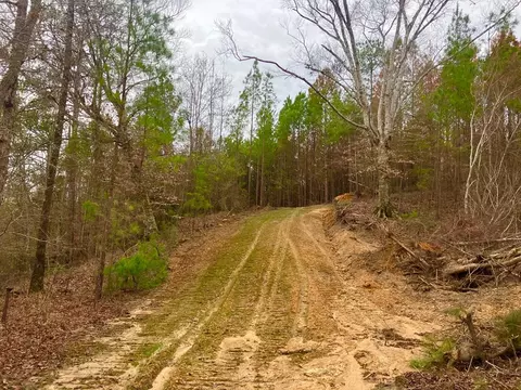 11 Dummy Line Rd, Brookhaven, MS 39601 photo 8