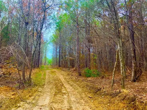 11 Dummy Line Rd, Brookhaven, MS 39601 photo 11