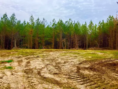 11 Dummy Line Rd, Brookhaven, MS 39601 photo 10
