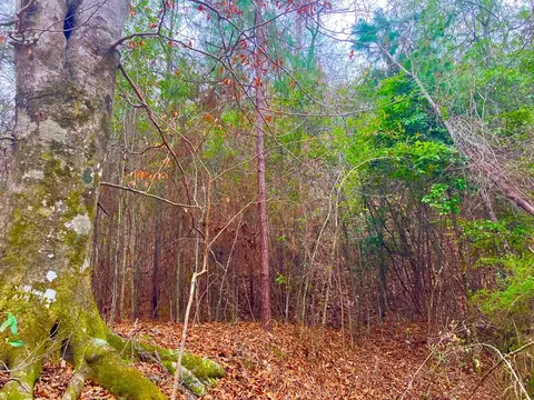 11 Dummy Line Rd, Brookhaven, MS 39601 photo 9