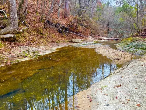11 Dummy Line Rd, Brookhaven, MS 39601 photo 6